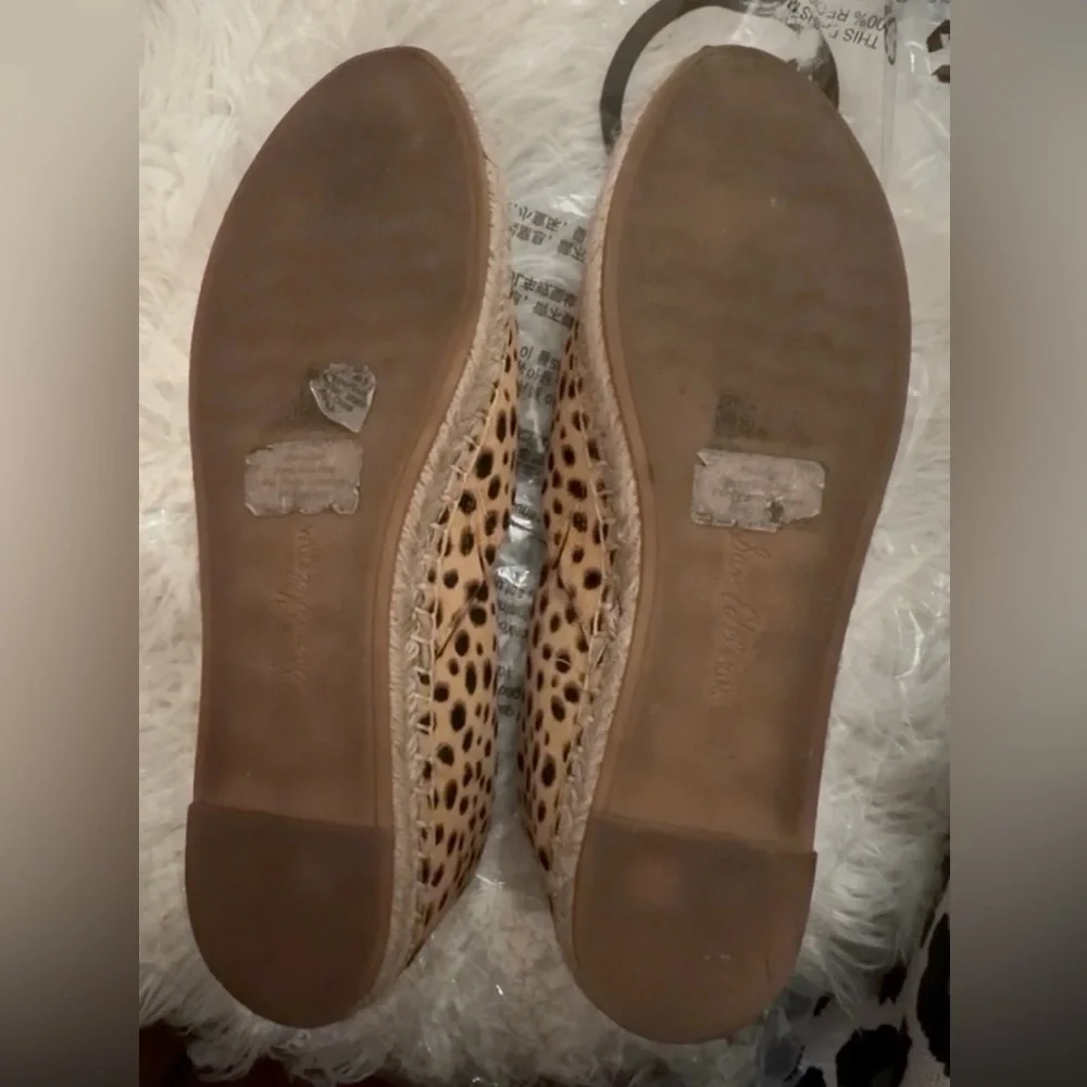 Converse sam edelman